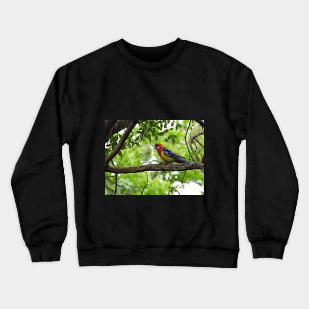 Eastern Rosella sitting in a tree Crewneck Sweatshirt by claire-l-page